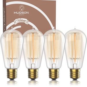 Vintage Inspired Style - Edison bulbs in 4 pack .